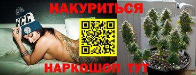 прущие грибы Нарткала