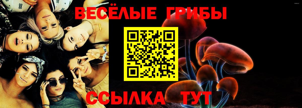Псилоцибиновые грибы Cubensis  Вход с VPN  Протвино 